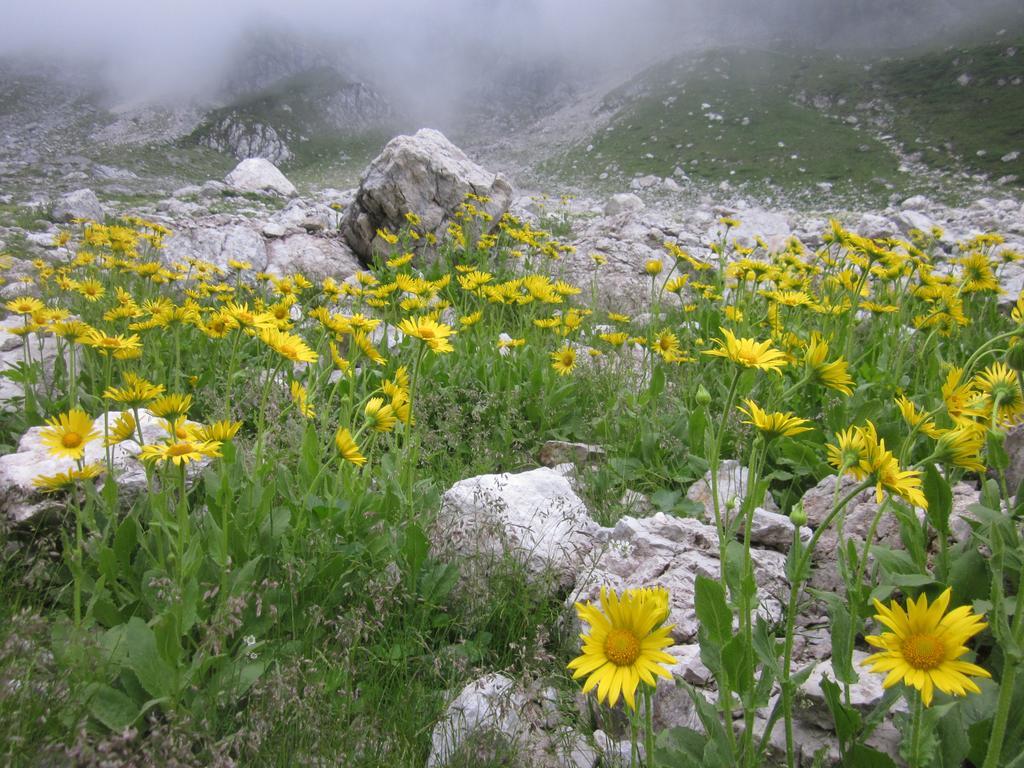 보베츠 Bezgova Hisica 빌라 외부 사진