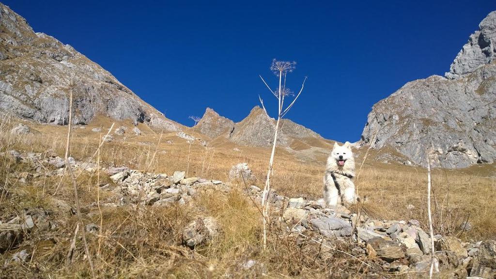 보베츠 Bezgova Hisica 빌라 외부 사진