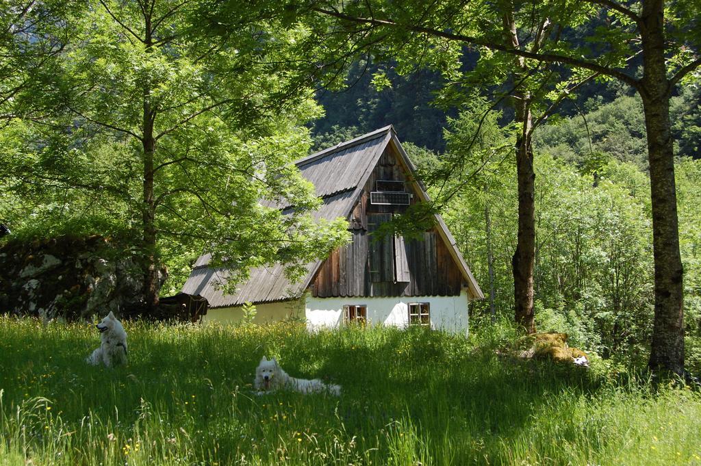보베츠 Bezgova Hisica 빌라 외부 사진