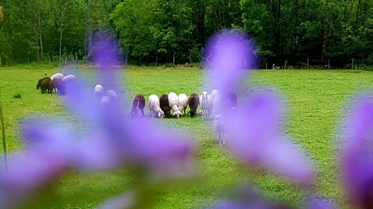 보베츠 Bezgova Hisica 빌라 외부 사진