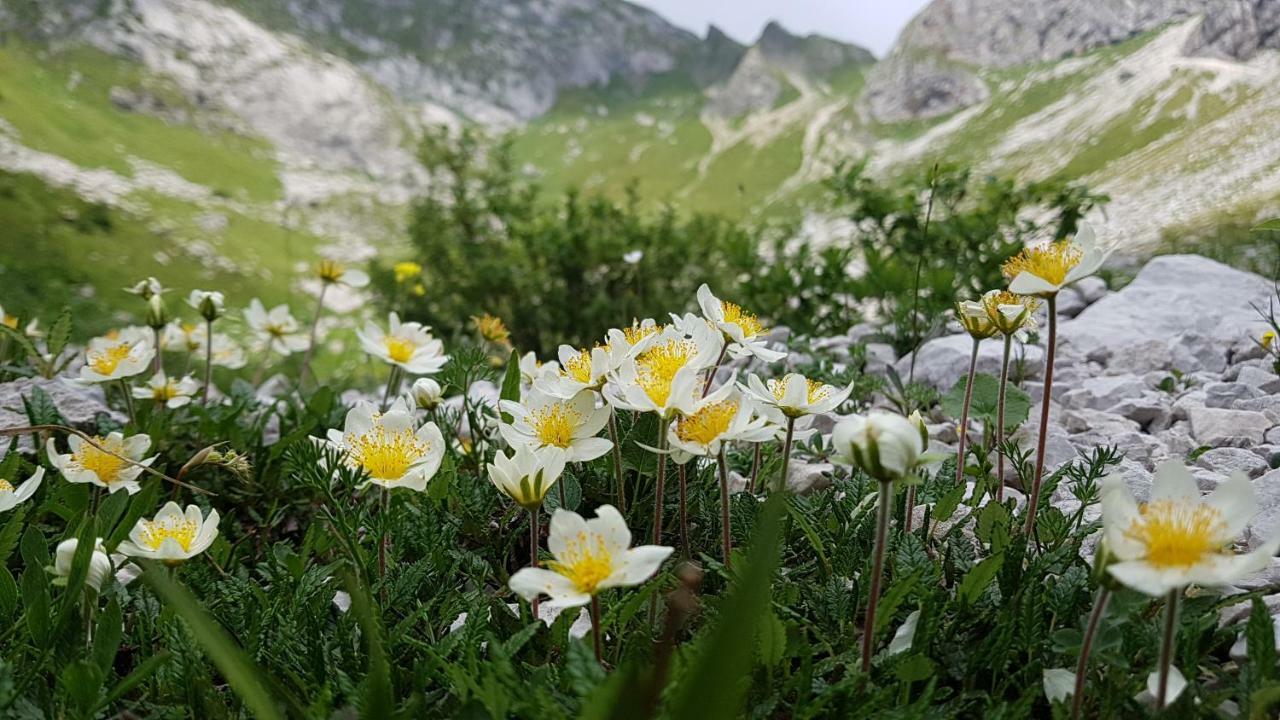 보베츠 Bezgova Hisica 빌라 외부 사진