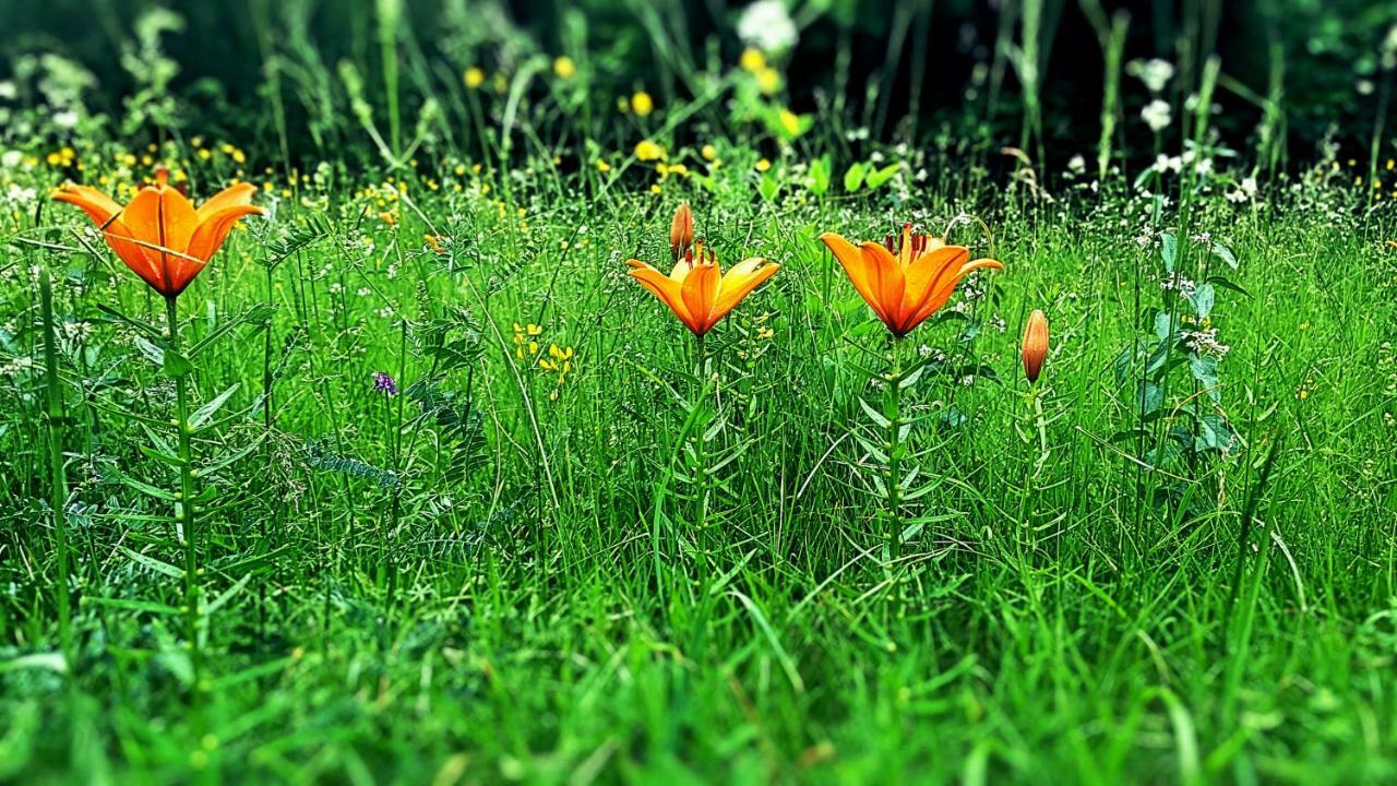 보베츠 Bezgova Hisica 빌라 외부 사진