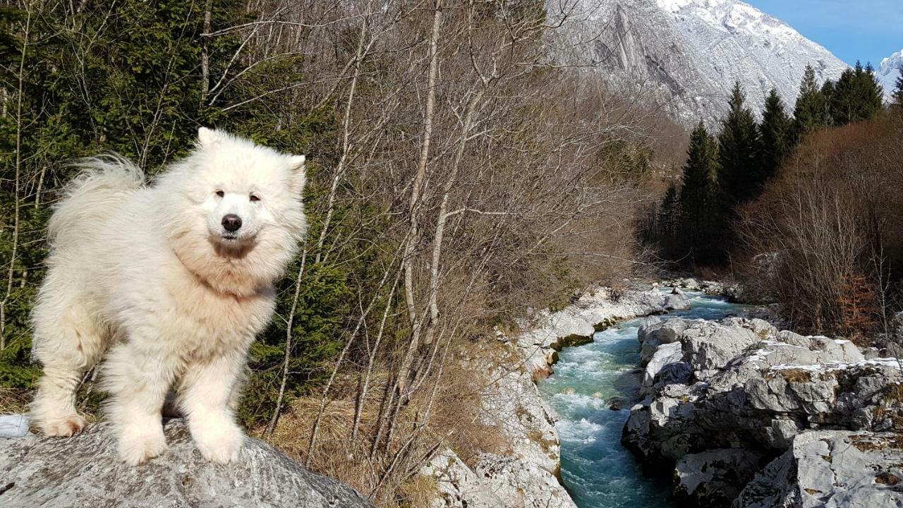 보베츠 Bezgova Hisica 빌라 외부 사진